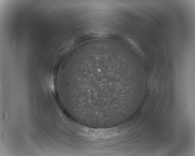 X0000064770026200602101301