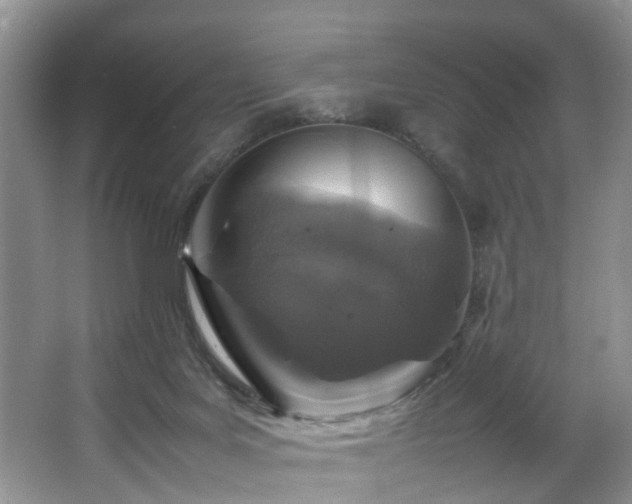 X0000064770027200602101301