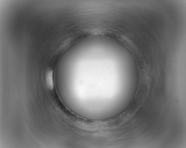 X0000064770028200602101301