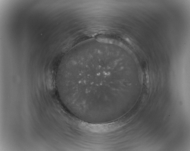 X0000064770030200602101301