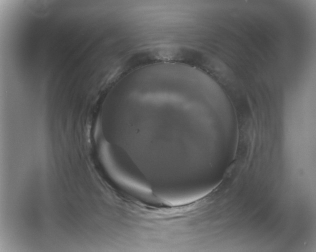 X0000064770031200602101301