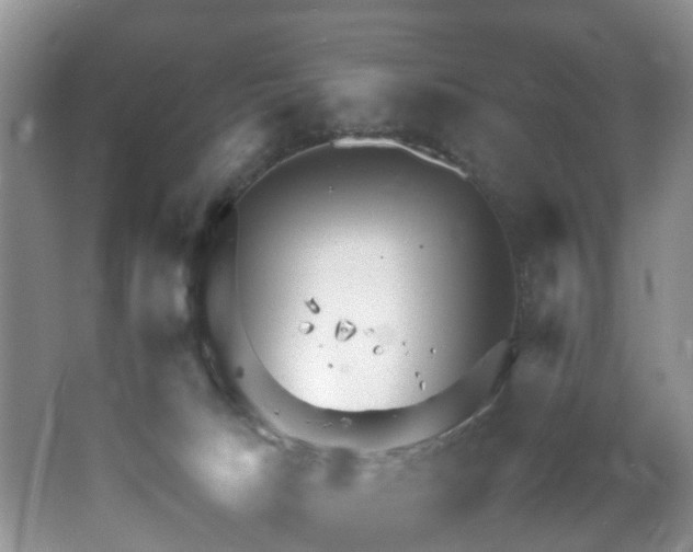 X0000064770033200602101301