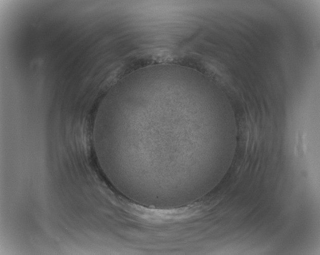 X0000064770034200602101301