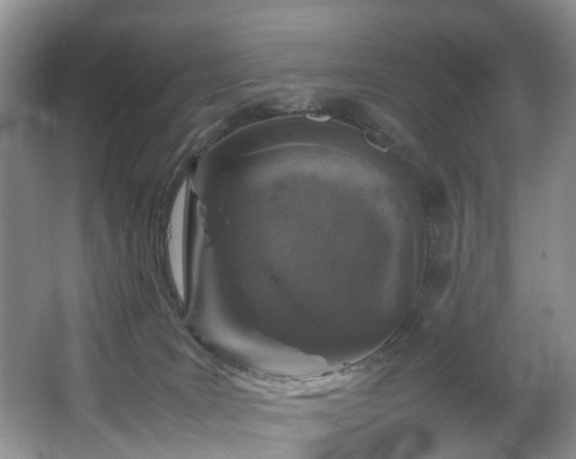 X0000064770035200602101301