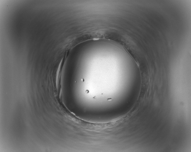 X0000064770037200602101301