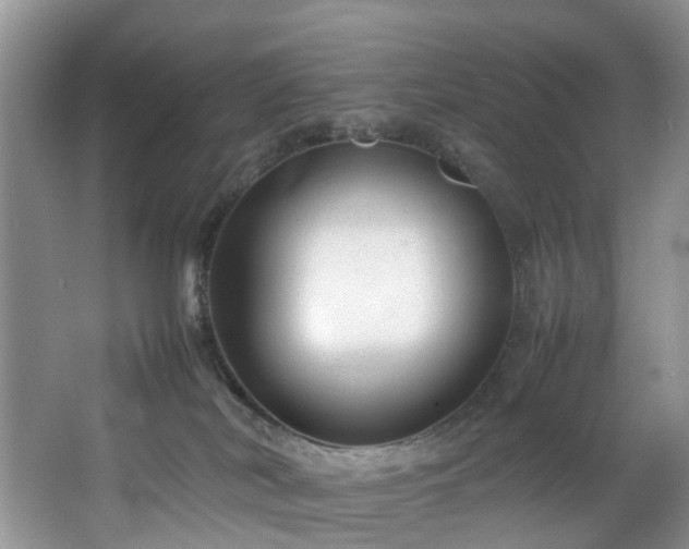 X0000064770038200602101301