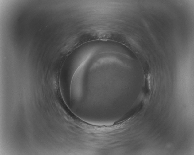 X0000064770039200602101300