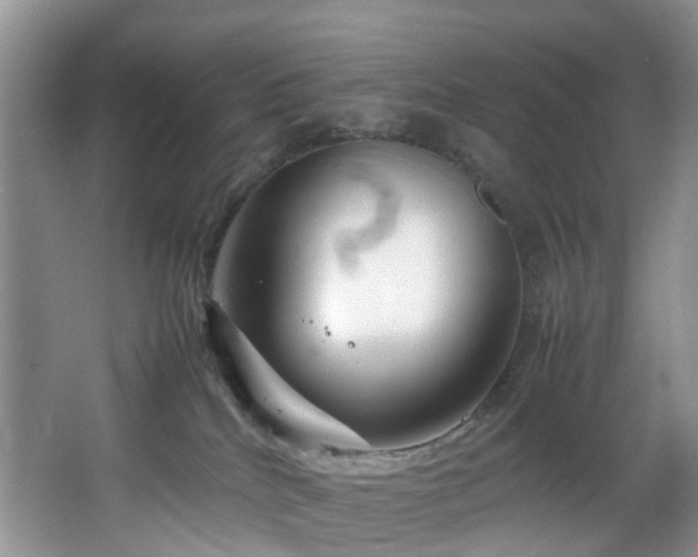 X0000064770040200602101300