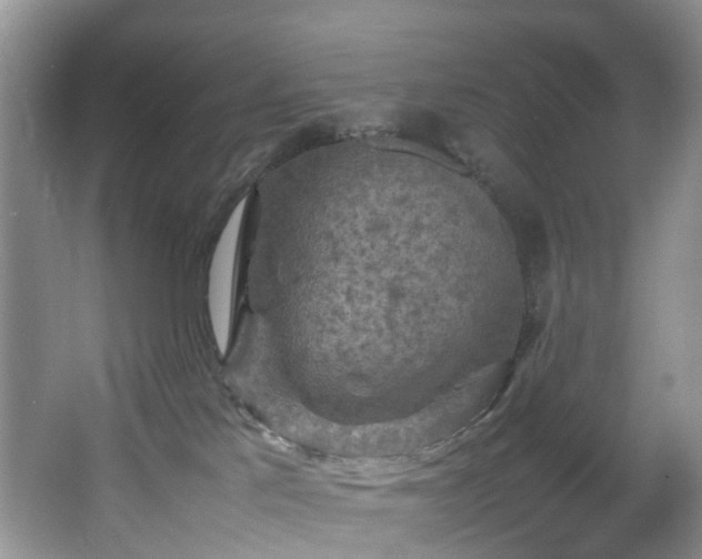 X0000064770041200602101300