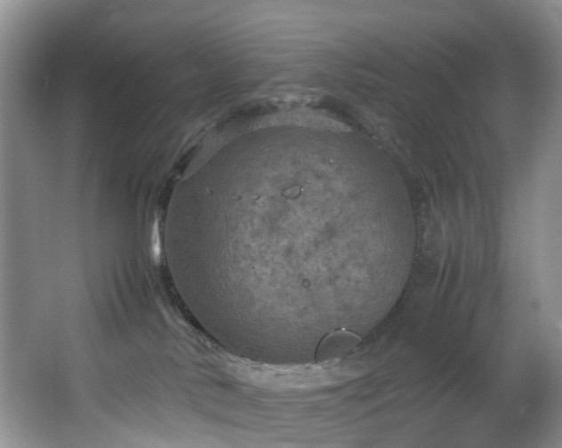 X0000064770042200602101300