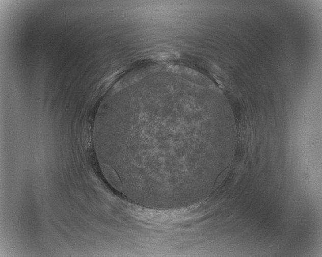 X0000064770043200602101300