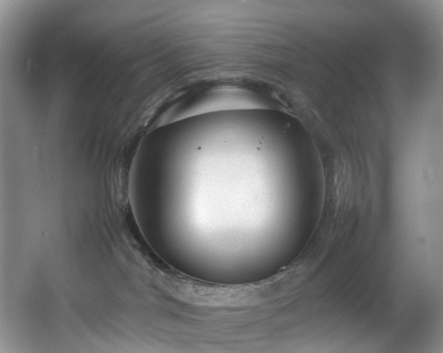 X0000064770044200602101300