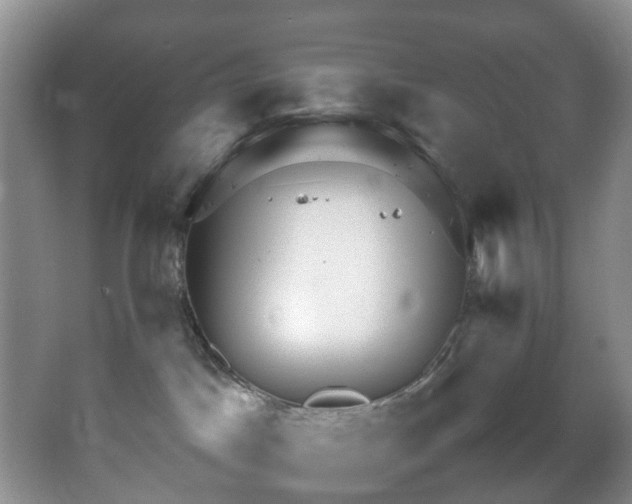 X0000064770045200602101300