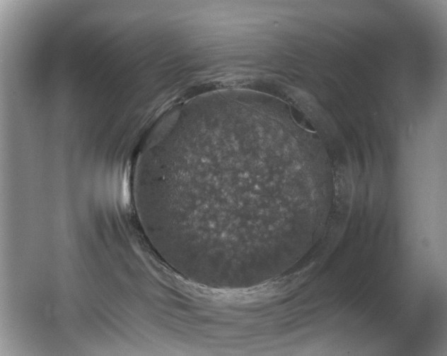 X0000064770046200602101300