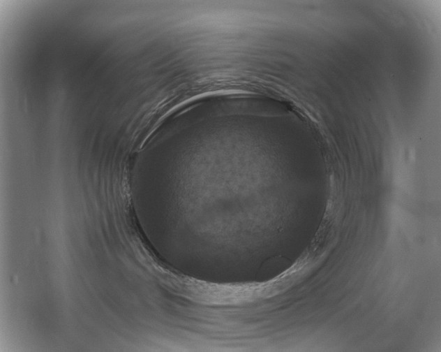 X0000064770048200602101300