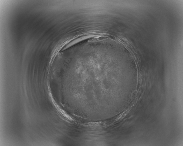 X0000064770049200602101300