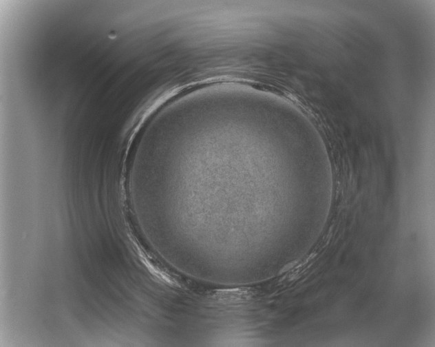 X0000064770050200602101300