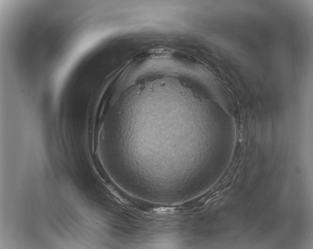 X0000064770052200602101300