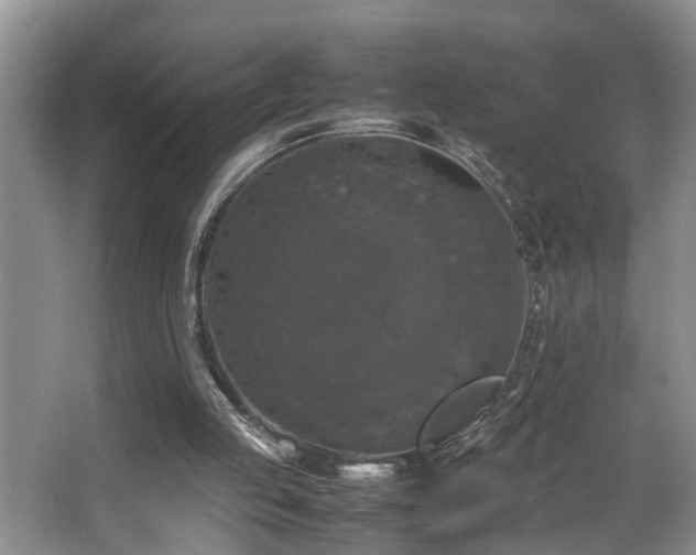 X0000064770053200602101300