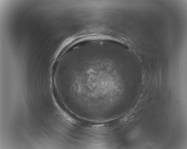 X0000064770054200602101300