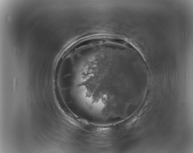 X0000064770055200602101300