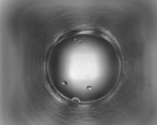 X0000064770057200602101300