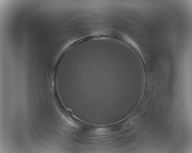 X0000064770059200602101300