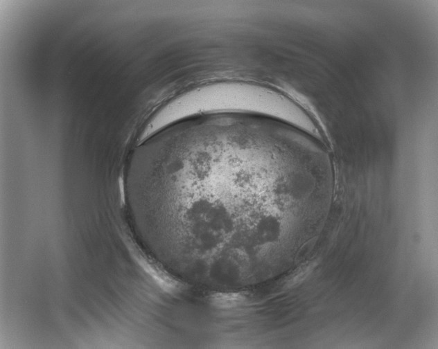 X0000064770061200602101300