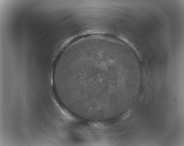 X0000064770062200602101300