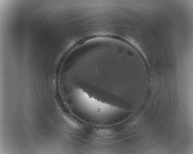 X0000064770063200602101300