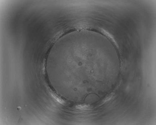 X0000064770065200602101300