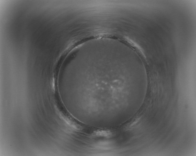 X0000064770067200602101300