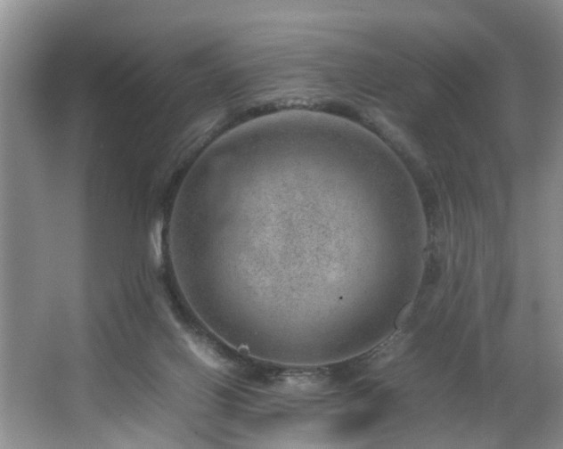 X0000064770070200602101300