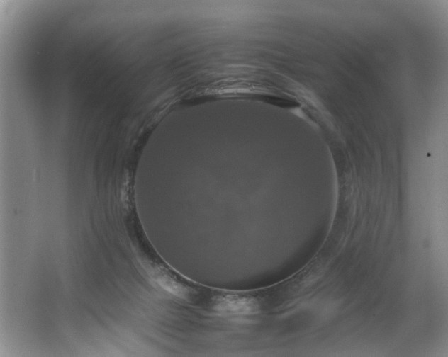 X0000064770073200602101300