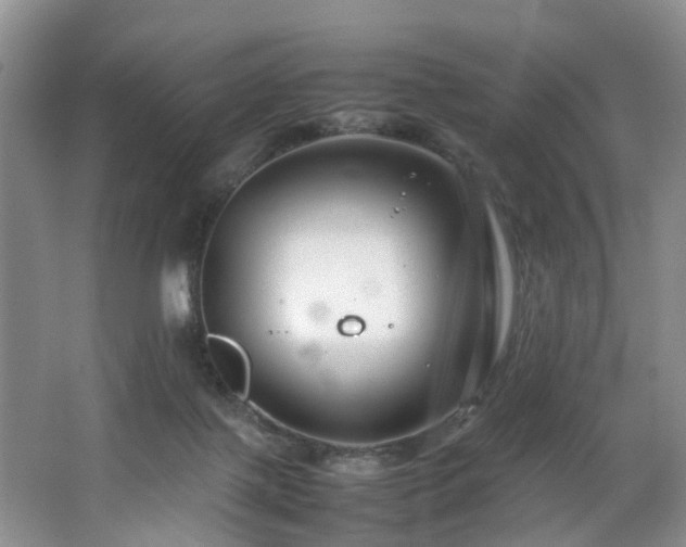 X0000064770075200602101300