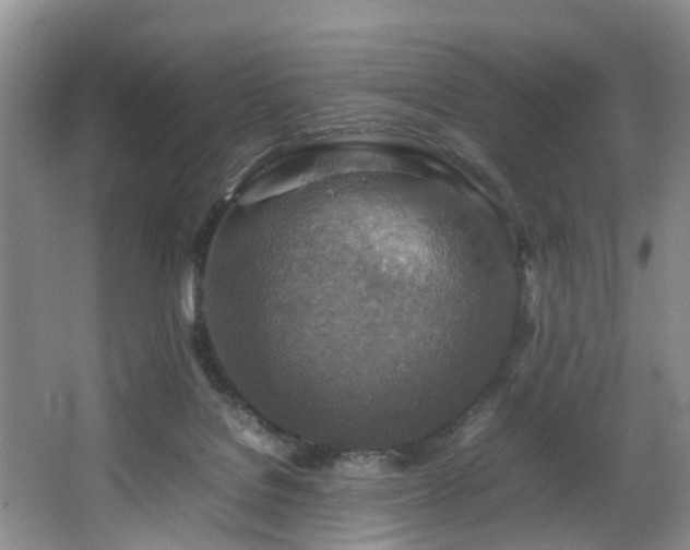 X0000064770076200602101300