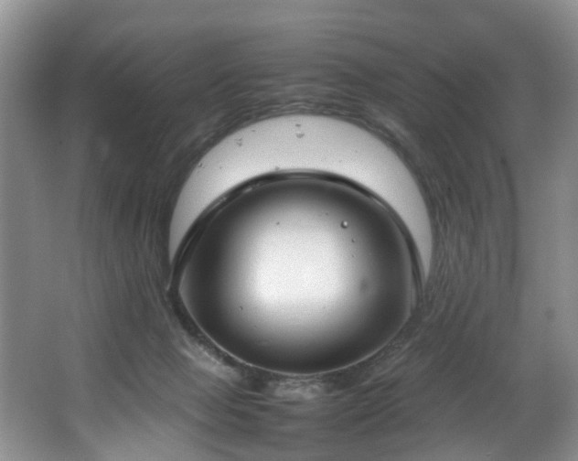 X0000064770077200602101300