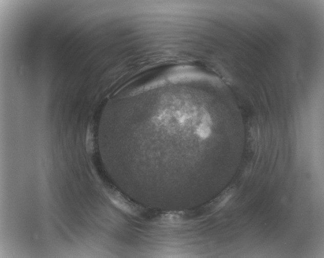 X0000064770080200602101300