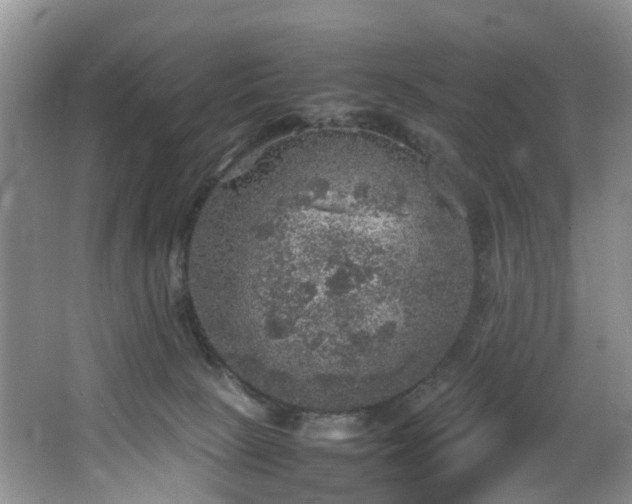 X0000064770081200602101300