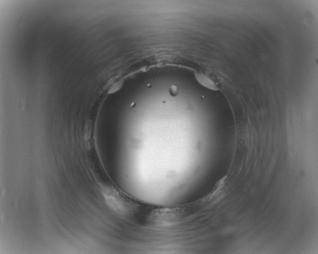 X0000064770082200602101300