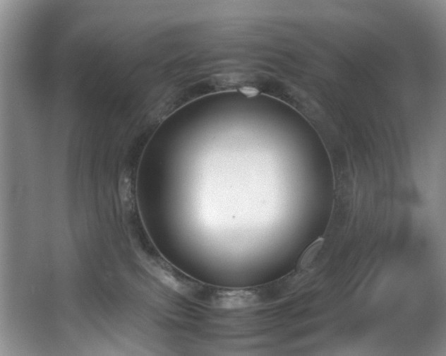 X0000064770087200602101300