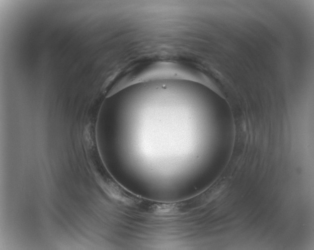 X0000064770088200602101300