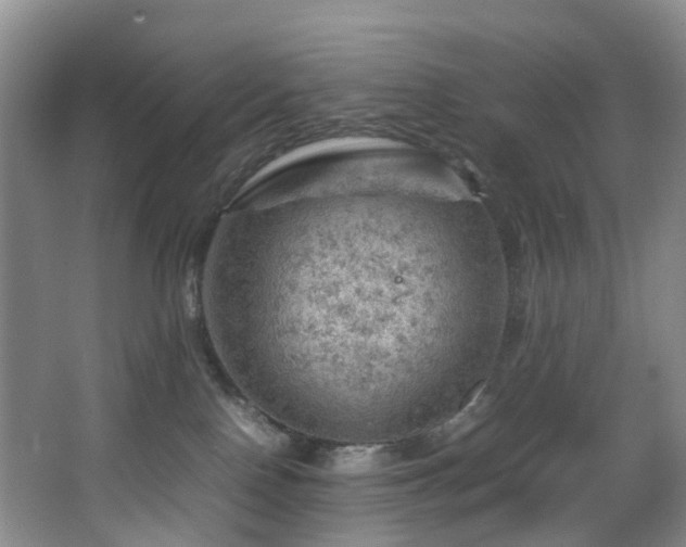 X0000064770090200602101300