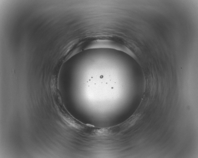 X0000064770092200602101300