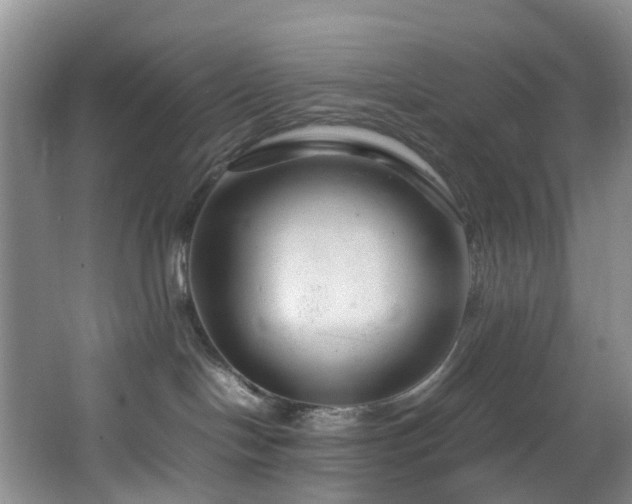 X0000064770094200602101300