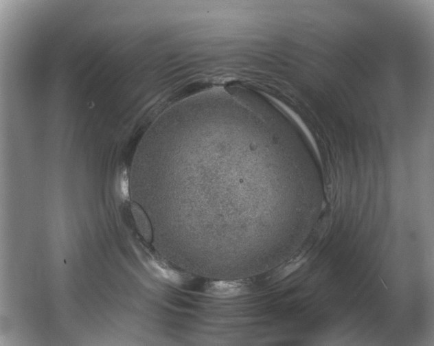 X0000064770095200602101300