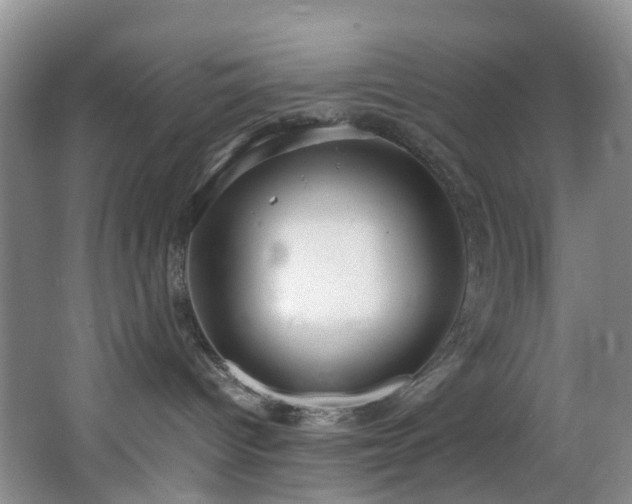 X0000064770096200602101300