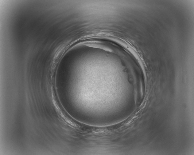 X0000064770097200602101259