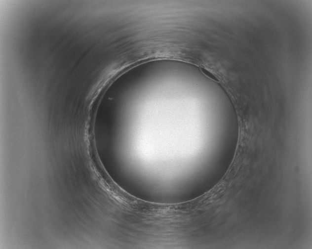 X0000064770098200602101259