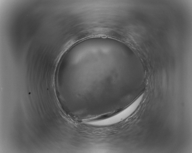 X0000064770099200602101259